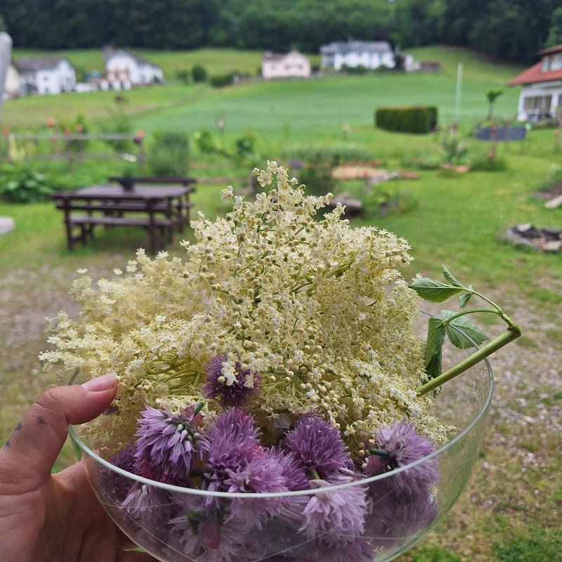 Erdgefluester erleben