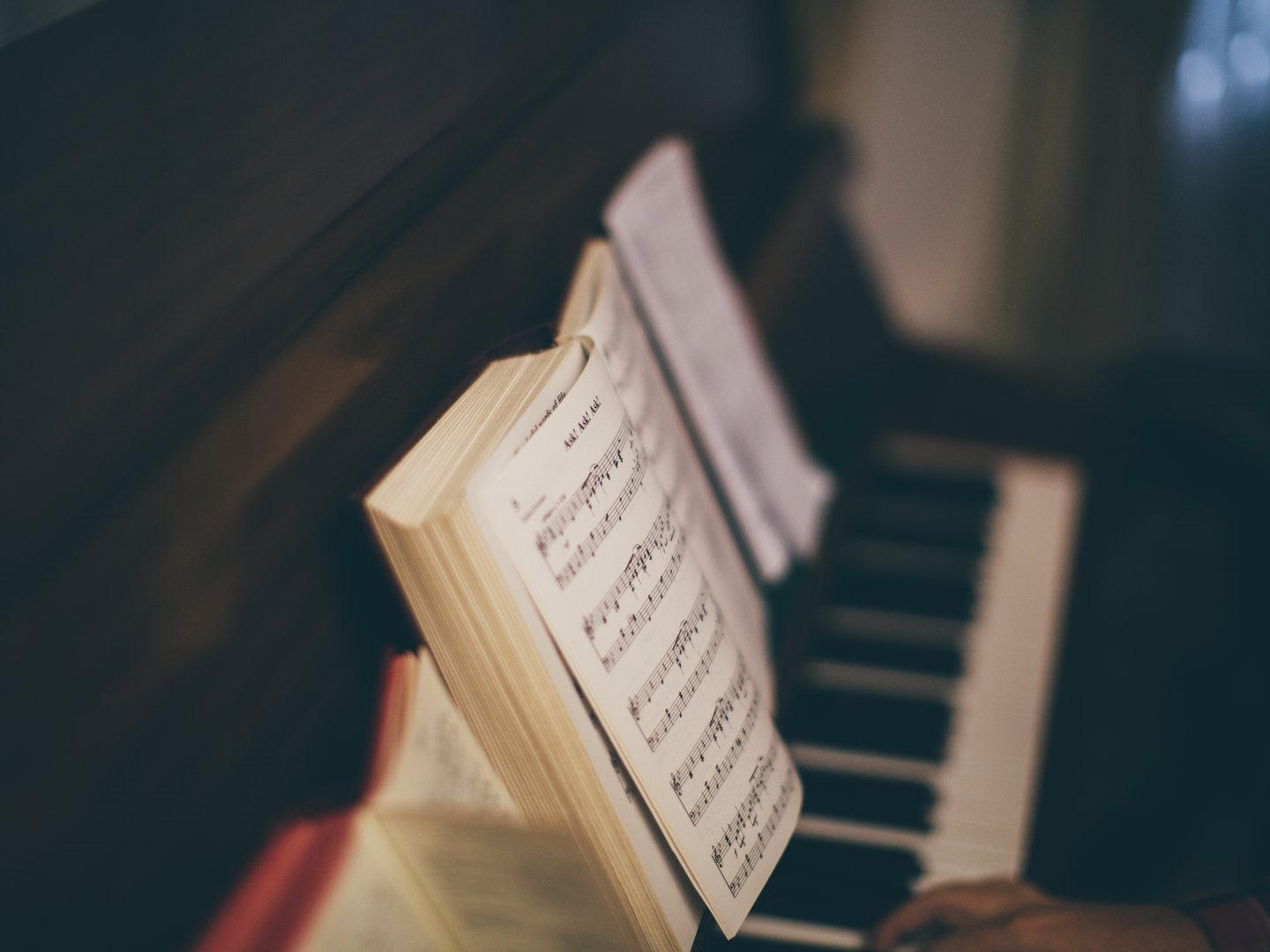 Erdgefluester erleben