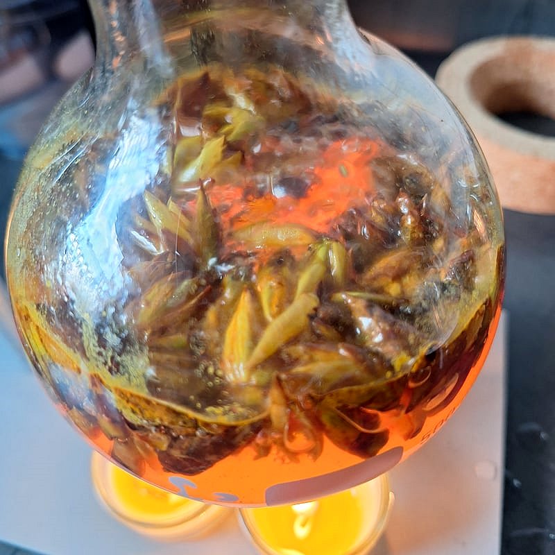 Erdgefluester erleben