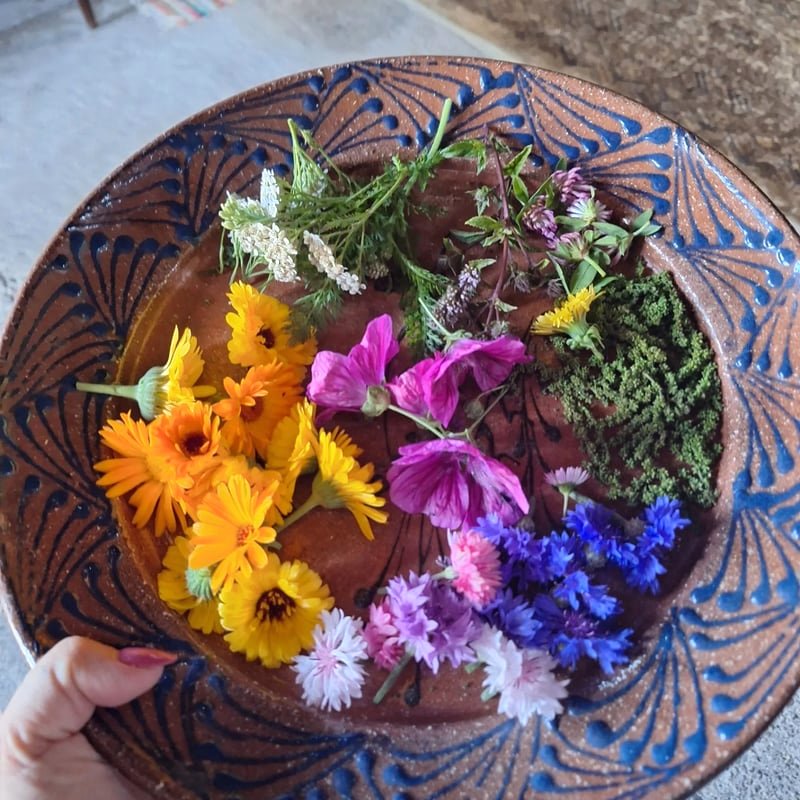 Erdgefluester erleben