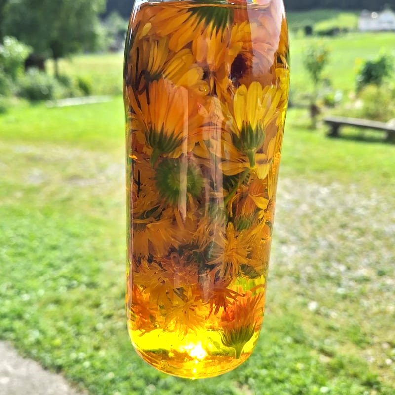 Erdgefluester erleben