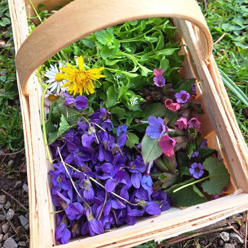 Erdgefluester erleben