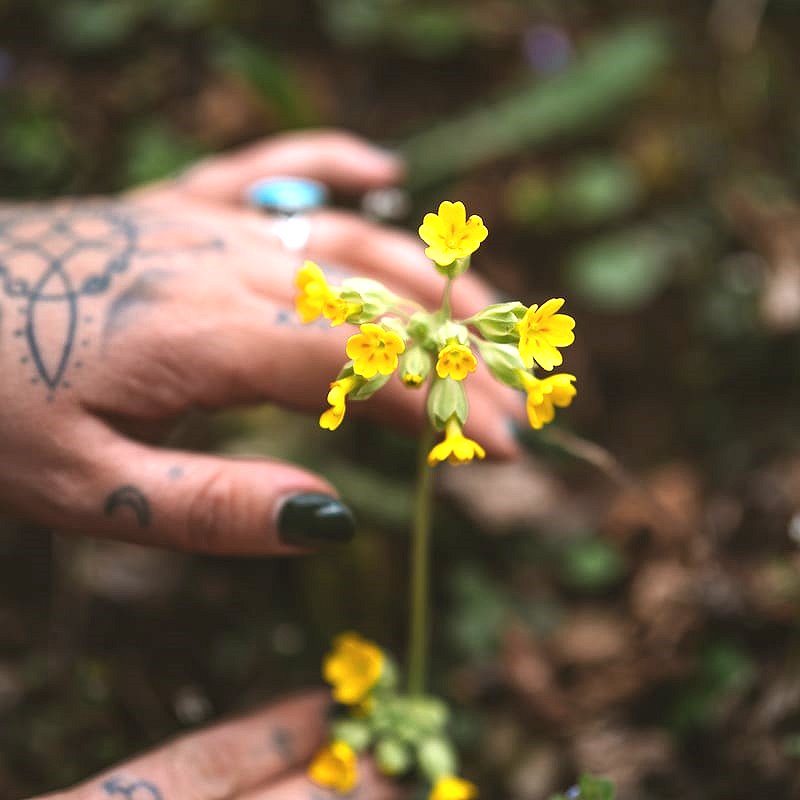 Erdgefluester erleben