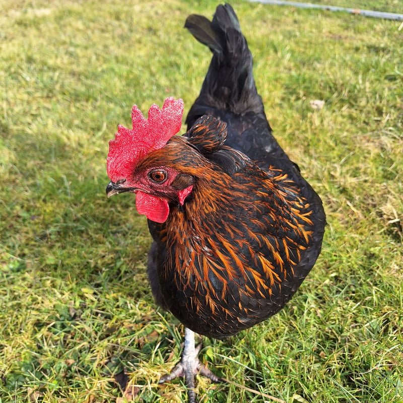 Erdgefluester erleben