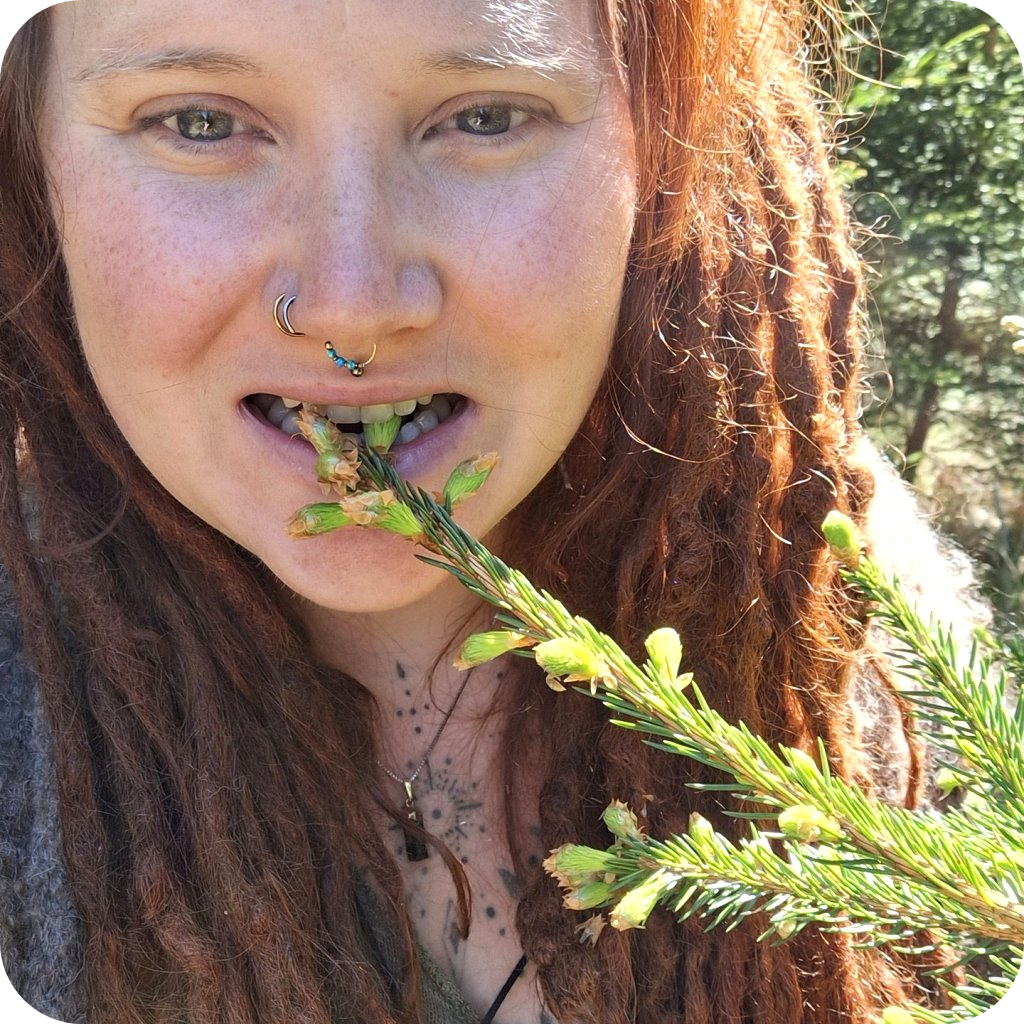 Erdgefluester erleben